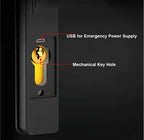 Fechadura Biométrica TTLock para Portas de Vidro