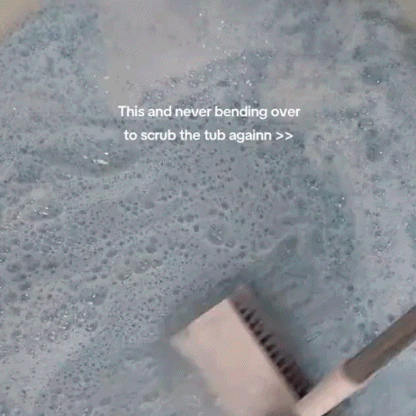 THE EVERYTHING SCRUBBER