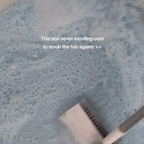 THE EVERYTHING SCRUBBER
