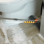 THE EVERYTHING SCRUBBER