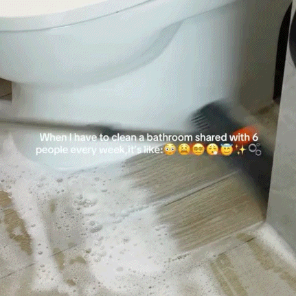THE EVERYTHING SCRUBBER