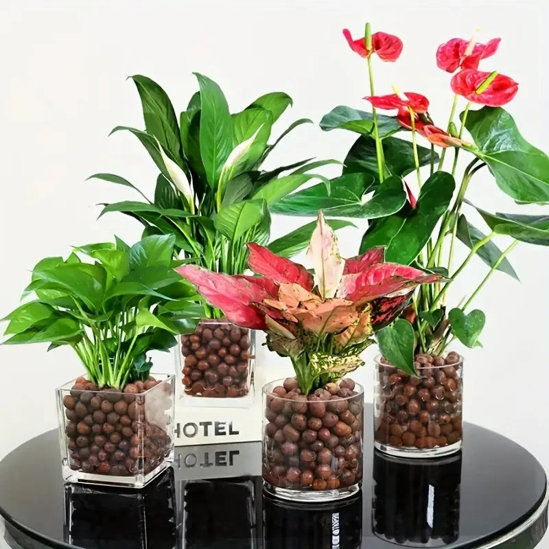 Fervas de argila expandidas hidropônicas de jardim – pelotas ovais de cerâmica orgânica para vasos, plantadores, orquídeas, suculentas, drenagem inferior