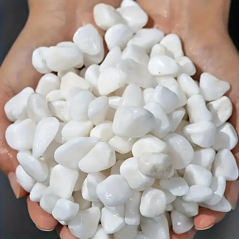 1l de alta qualidade perlite suculenta orquídea universal planta fundo pavimentação uso decorativo plantador superfície pavimentação, rastejando cama para animais de estimação