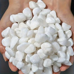 1l de alta qualidade perlite suculenta orquídea universal planta fundo pavimentação uso decorativo plantador superfície pavimentação, rastejando cama para animais de estimação