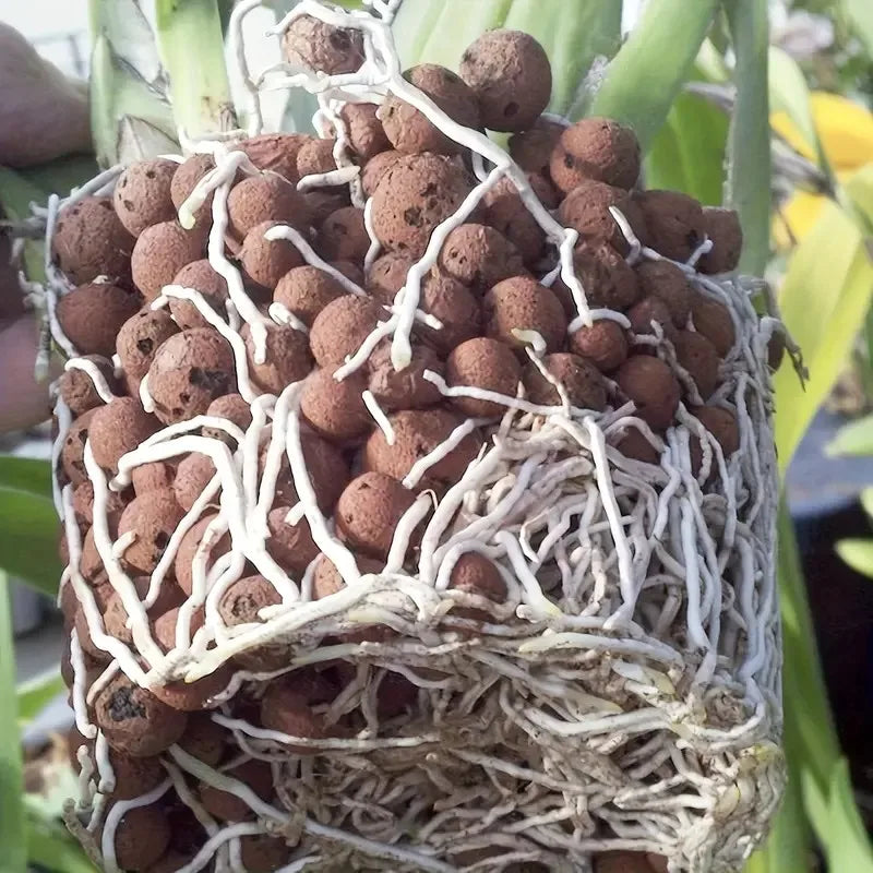Fervas de argila expandidas hidropônicas de jardim – pelotas ovais de cerâmica orgânica para vasos, plantadores, orquídeas, suculentas, drenagem inferior