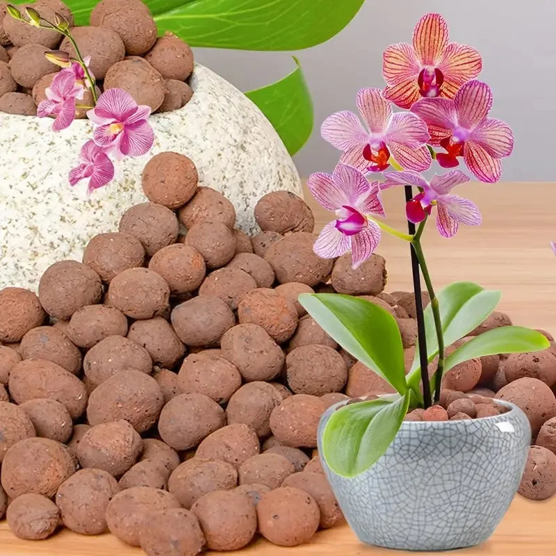 Fervas de argila expandidas hidropônicas de jardim – pelotas ovais de cerâmica orgânica para vasos, plantadores, orquídeas, suculentas, drenagem inferior