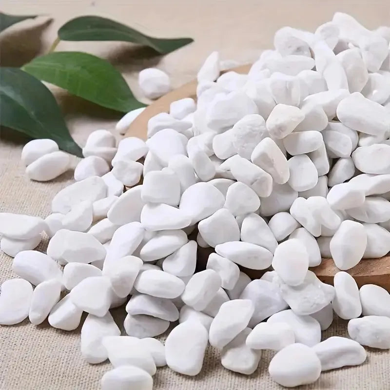 1l de alta qualidade perlite suculenta orquídea universal planta fundo pavimentação uso decorativo plantador superfície pavimentação, rastejando cama para animais de estimação