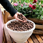Fervas de argila expandidas hidropônicas de jardim – pelotas ovais de cerâmica orgânica para vasos, plantadores, orquídeas, suculentas, drenagem inferior