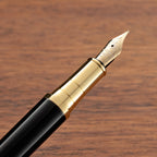 Caneta Tinteiro Luxo em Metal